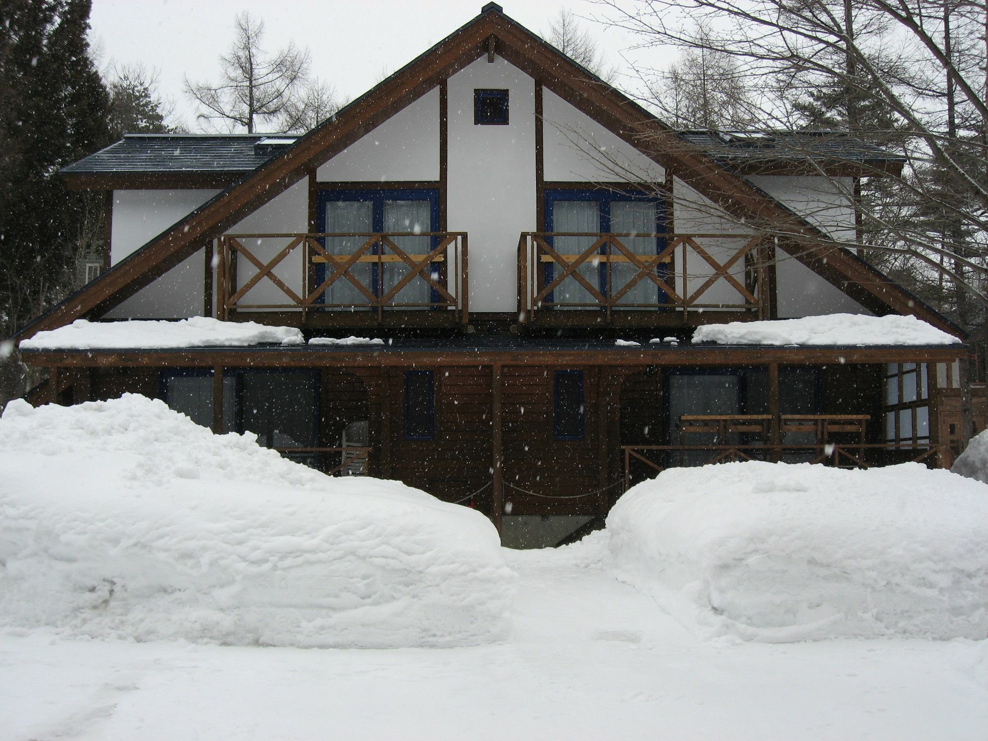 Hakuba Megeve Villa Luaran gambar