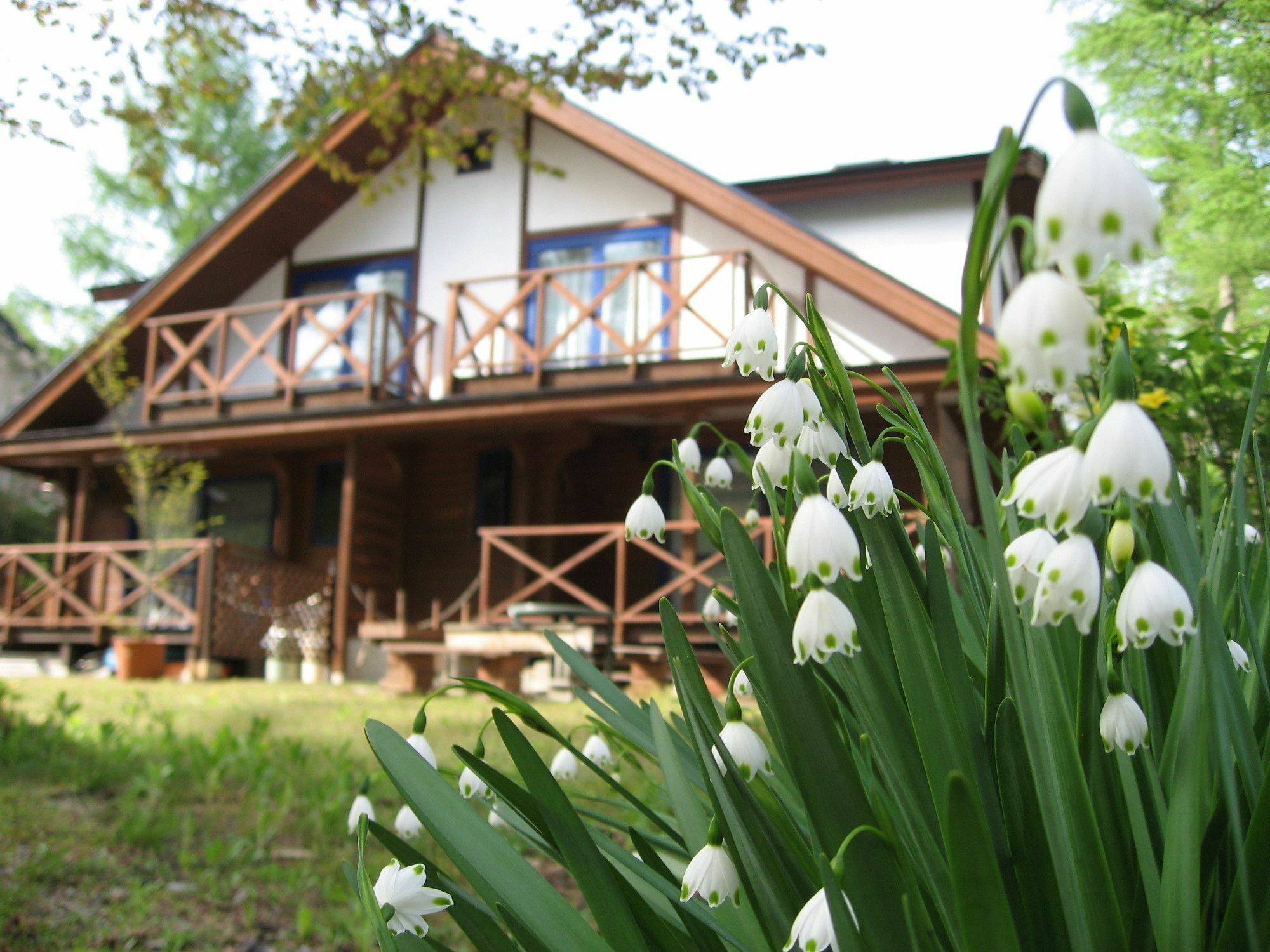 Hakuba Megeve Villa Luaran gambar